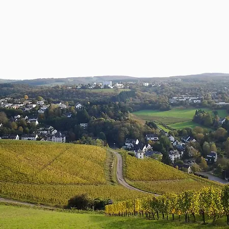 Saar-mosel-tal 2+1 Konz